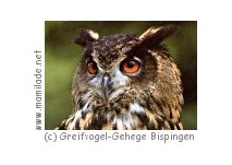 Greifvogel-Gehege Bispingen ü Greifvogel-Gehege Bispingen