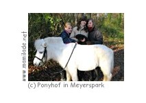 Ponyhof in Meyerspark Hamburg