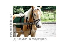 Ponyhof in Meyerspark Hamburg