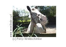 Pony-Waldschänke in Hamburg Pony-Waldschänke in Hamburg