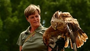© Wald-Jagd-Natur-Erlebnis e.V. © Wald-Jagd-Natur-Erlebnis e.V.