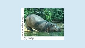 Rätselhafte Führung im Zoo Berlin Zoo Berlin