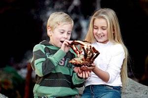 Kinder © AquaDom & SeaLife Berlin