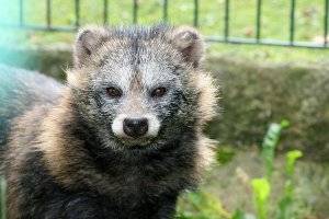 Tiere im Tierpark näher kennenlernen (c) Tierpark Hirschfeld Tiere im Tierpark näher kennenlernen (c) Tierpark Hirschfeld
