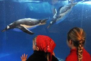 (c) SEA LIFE Deutschland