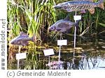 Naturerlebnispfad WunderWeltWasser in Malente