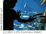Kindergeburtstag im SEA LIFE in Konstanz Kindergeburtstag im SEA LIFE in Konstanz