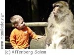 Kindergeburtstag am Affenberg Salem