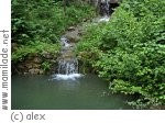 Wassertag - Kindergeburtstag in Kaltenbronn