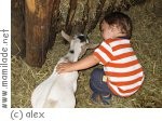 Kindergeburtstag im Jägerhof in Pfullendorf Kindergeburtstag im Jägerhof in Pfullendorf