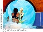 Webalu in Werdau