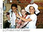 Probst-Hof in Kummer Probst-Hof in Kummer