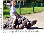Kindergeburtstag Tierpark Chemnitz Kindergeburtstag Tierpark Chemnitz