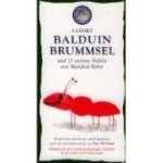 Kinderbuch: Balduin Brummsel kl