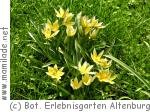 Botanischer Erlebnisgarten in Altenburg Botanischer Erlebnisgarten in Altenburg