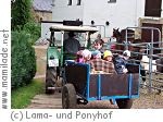 Lama- und Ponyhof in Langenbernsdorf Lama- und Ponyhof in Langenbernsdorf