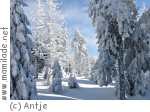Winterrodelbahn in Chemnitz