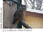Tierpark in Limbach-Oberfrohna Tierpark in Limbach-Oberfrohna