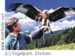 Steinen Vogelpark Steinen Vogelpark