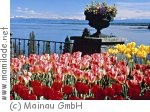 Insel Mainau Insel Mainau