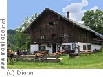 Weißbach Schneizlreuth Höllenbachalm Weißbach Schneizlreuth Höllenbachalm