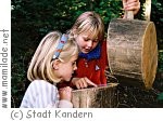 Kandern Walderlebnispfad Kandern Walderlebnispfad