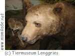 Lenggries Tiermuseum Lenggries Tiermuseum