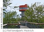 Baumkronenpfad Thüringen Hainich NP Baumkronenpfad Thüringen Hainich NP