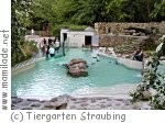 Tiergarten Straubing Tiergarten Straubing