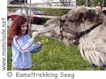 Kameltrekking Farm ü