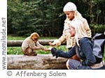 Affenberg Salem ü Affenberg Salem ü