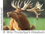 Allensbach Wildpark ü Allensbach Wildpark ü
