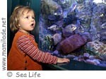 Sea Life Konstanz ü Sea Life Konstanz ü