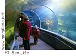 Sea Life Berlin ü