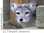Tierpark Chemnitz ü