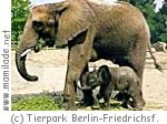 Tierpark Berlin - Friedrichsfelde ü Tierpark Berlin - Friedrichsfelde ü