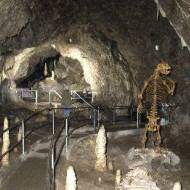 Hermannshöhle Rübeland Hermannshöhle Rübeland