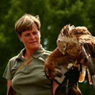 © Wald-Jagd-Natur-Erlebnis e.V. © Wald-Jagd-Natur-Erlebnis e.V.