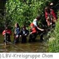 Eisvogelsteig LBV Cham Cham Eisvogelsteig