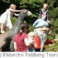 Wichtelpfad im Auerhuhnwald - Feldberg Wichtelpfad im Auerhuhnwald