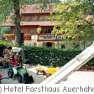 Baiersbronn Forsthaus Auerhahn