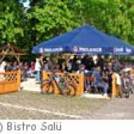 Saarlouis Bistro Salü