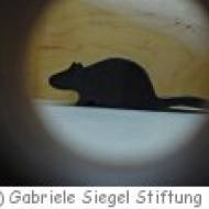 Mitmachmuseum Welt der Sinne in Heidenheim
