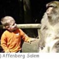 Affenberg Salem - Kindergeburtstag