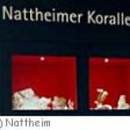 Nattheim - Korallenmuseum