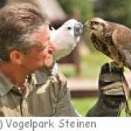Sommer-Ferienprogramm im Vogelpark Steinen Vogelpark Steinen Sommer-Ferienprogramm