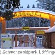 Schwarzwaldpark Löffingen Löffingen Schwarzwaldpark