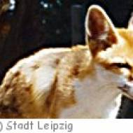 Wildpark Leipzig Wildpark Leipzig