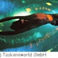Toskana Therme Bad Schandau Toskana Therme Bad Schandau