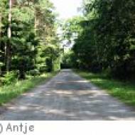 Wanderweg Wanderweg